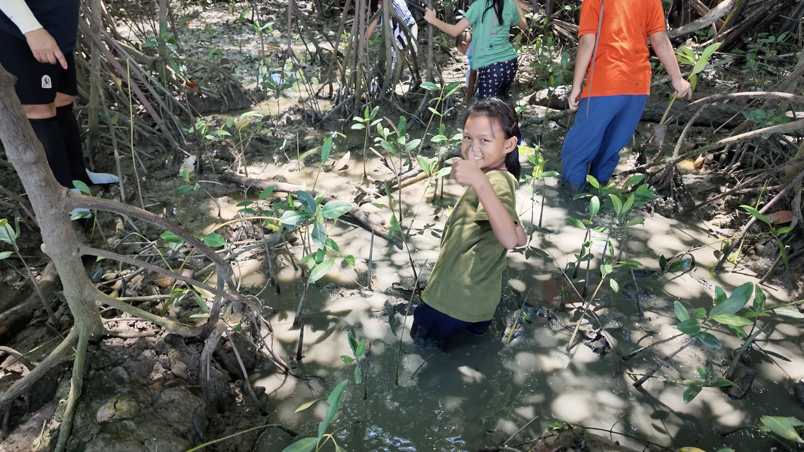 ค่ายอาสาปลูกป่าชายเลน: กิจกรรมเพื่อสังคมที่บ้านคลองโคนรีสอร์ท