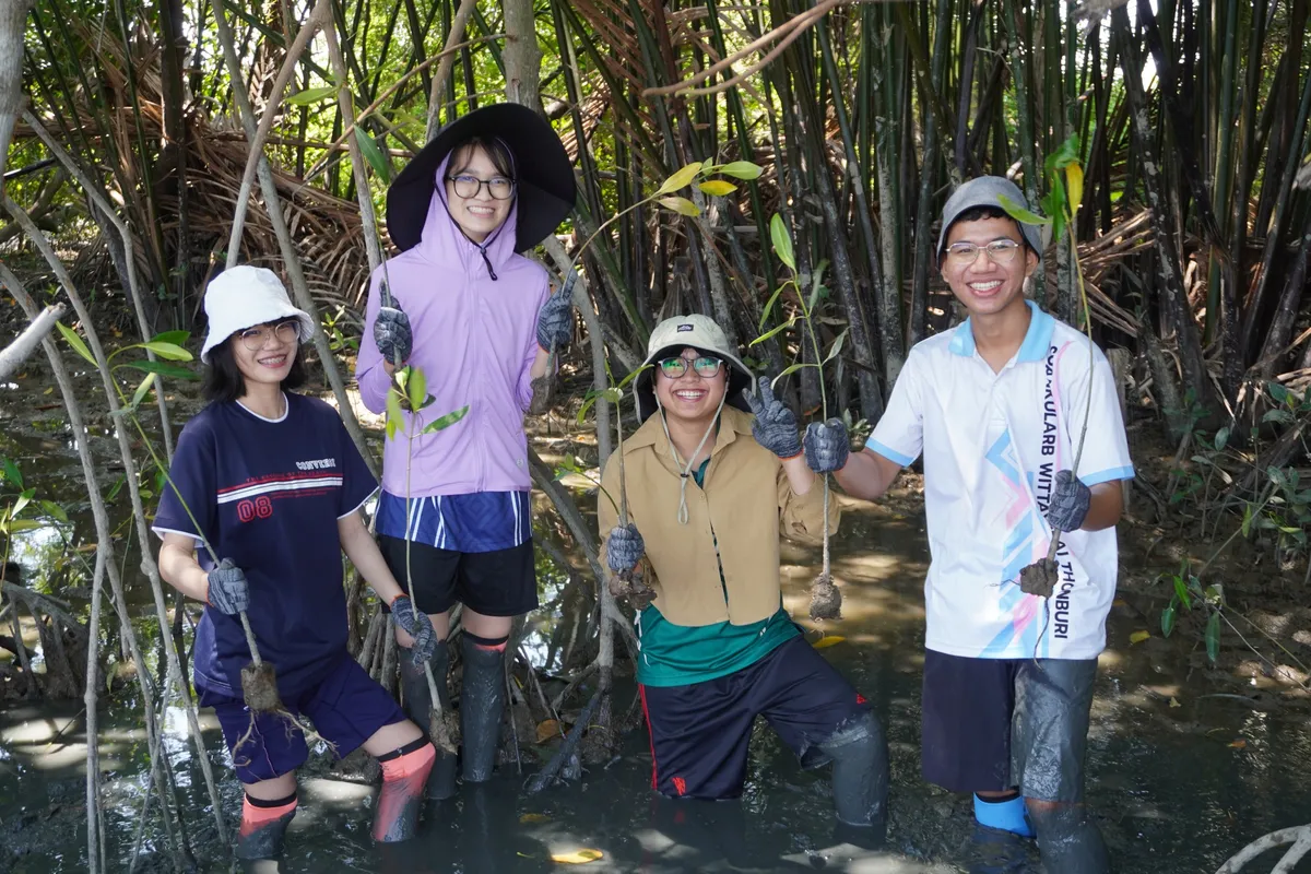 ปลูกป่าชายเลนคลองโคน 1