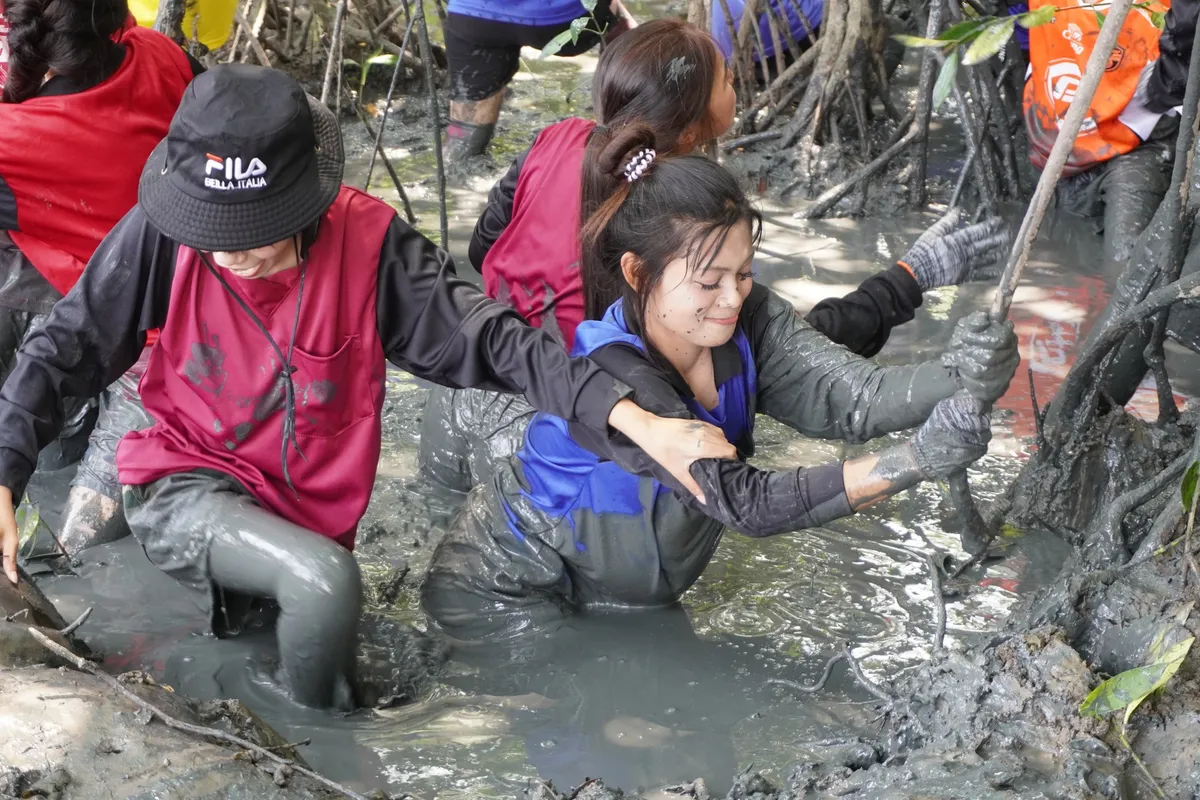 ปลูกป่าชายเลนคลองโคน 2