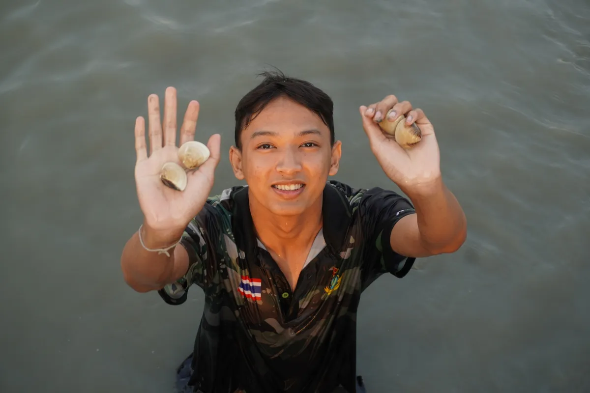 ปลูกป่าชายเลนคลองโคน 3